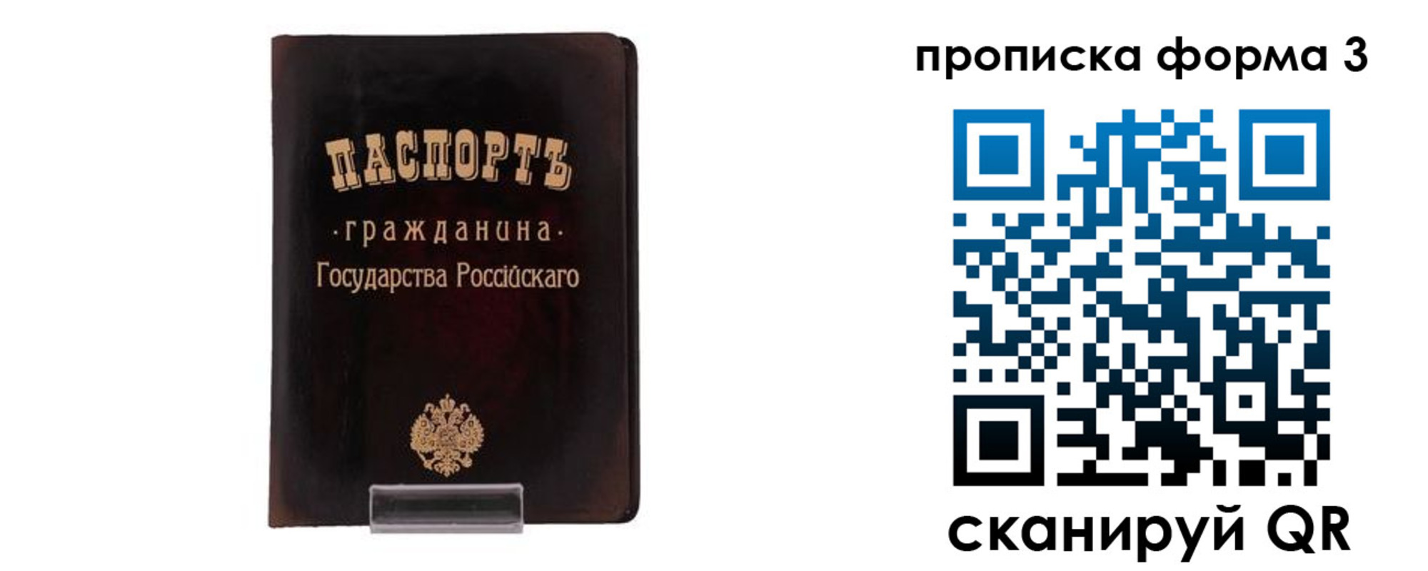 прописка паспорт в Калининградской области